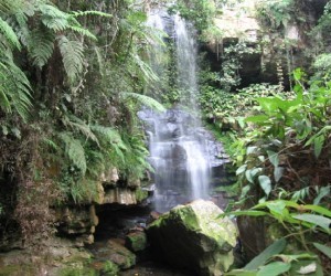 Salto del Mico. Fuente: Santanderparaisoextremo